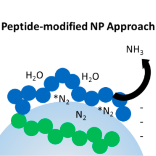 Future Ammonia Technologies: Electrochemical (part 2)