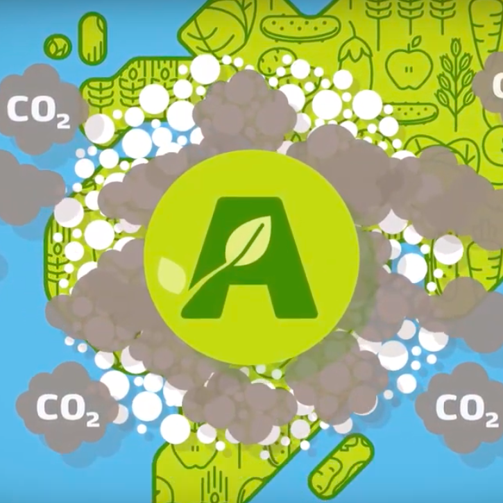 Green ammonia is key to