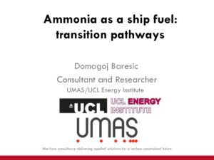 Fuel Transition Scenarios for the Maritime Industry up to 2050