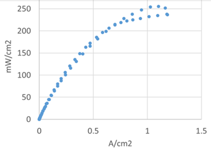 Progress for Low-Temperature Direct Ammonia Fuel Cells