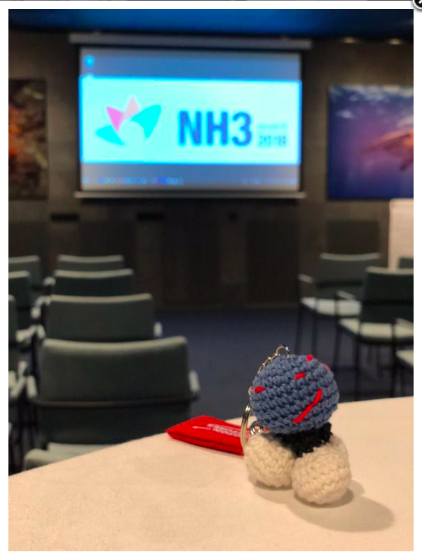 NH3 Event in Rotterdam, June 6-7