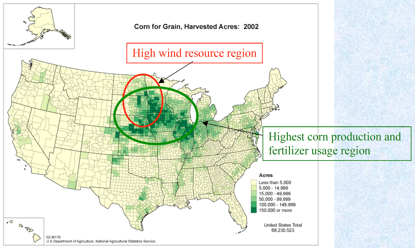 University of Minnesota's Ammonia Program