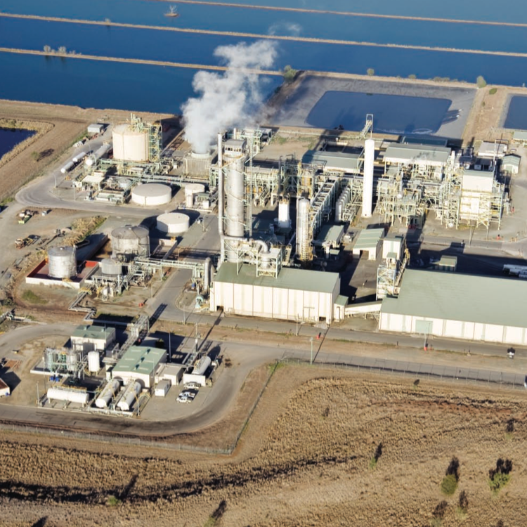 Green Ammonia Plants in Chile, Australia, New Zealand