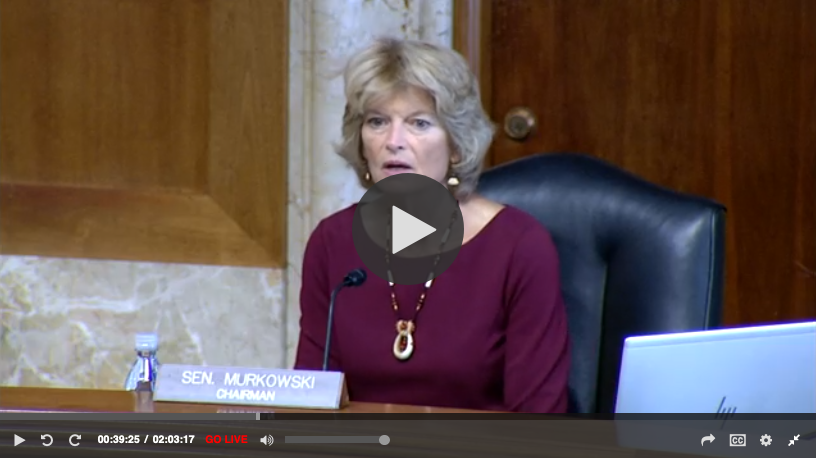 US Senators Show Strong Interest in Ammonia-Fueled Shipping