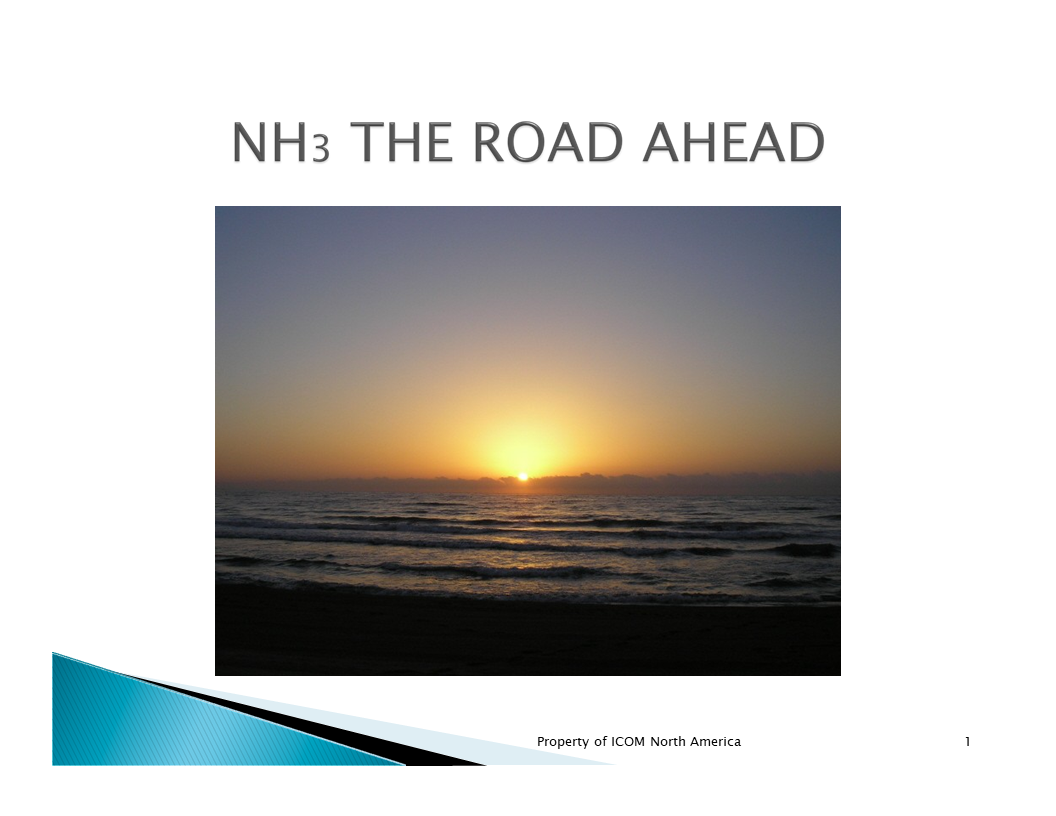 NH3 — The Road Ahead