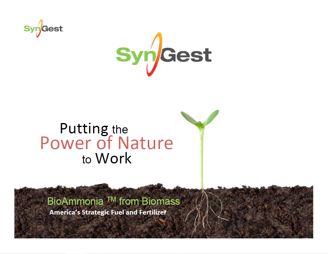 Carbon-Negative NH3 Fuel Production from Biomass via Gasification