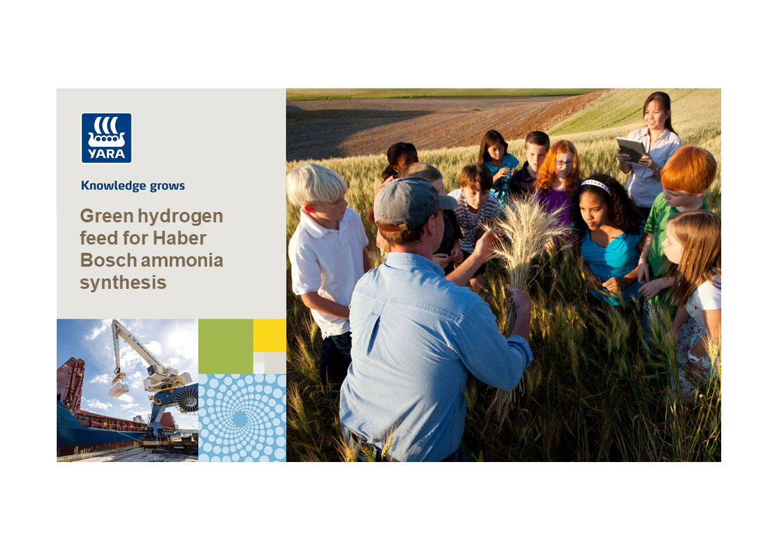 Green hydrogen feed for Haber Bosch ammonia synthesis