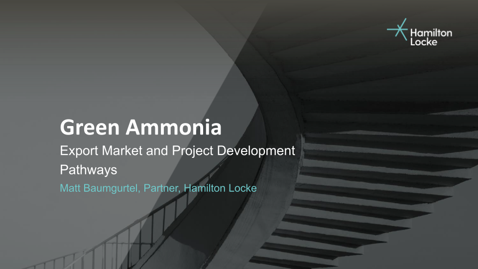 Export market and project development pathways