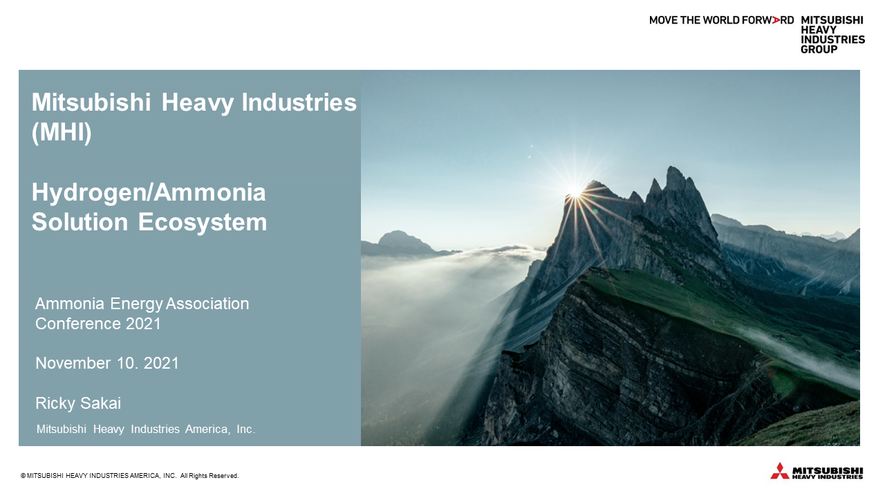 Hydrogen/Ammonia Solution Ecosystem