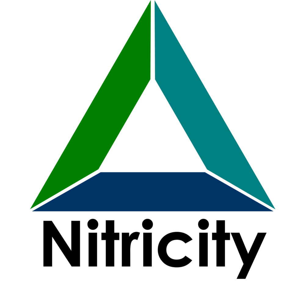 Nitricity Logo