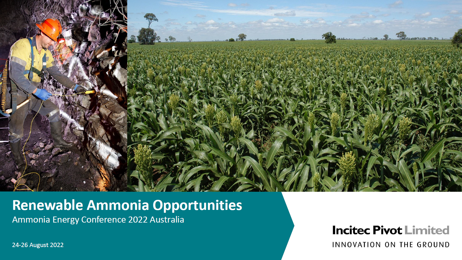 Renewable Ammonia Opportunities