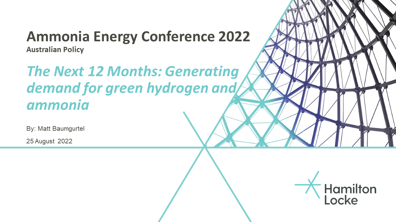 The Next 12 Months: Generating demand for green hydrogen and ammonia