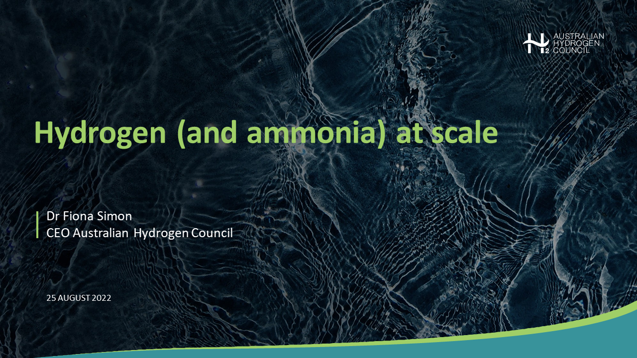 Hydrogen (and ammonia) at scale