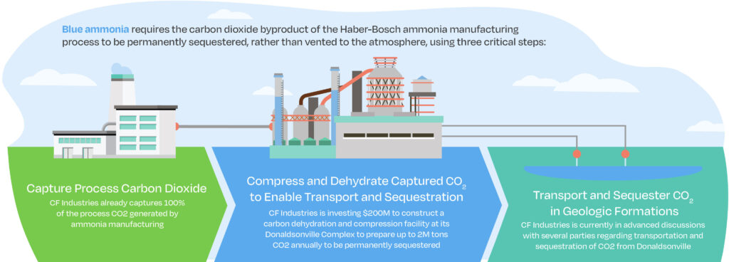 Infographic showing CF Industries’ planned process for CCS at its ammonia production facility at Donaldsonville, Louisiana. Source: CF Industries.