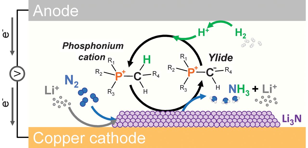 A road ahead via lithium-mediated electrochemical nitrogen reduction?