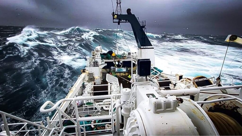 Lerøy Havfisk AS leads a consortium (including Yara, Wärtsilä, Vard, DNV, Grieg Maritime, DNV and Skipsteknikk) that are developing an ammonia-powered fishing trawler to operate off Norway’s coast. Source: Lerøy Havfisk.