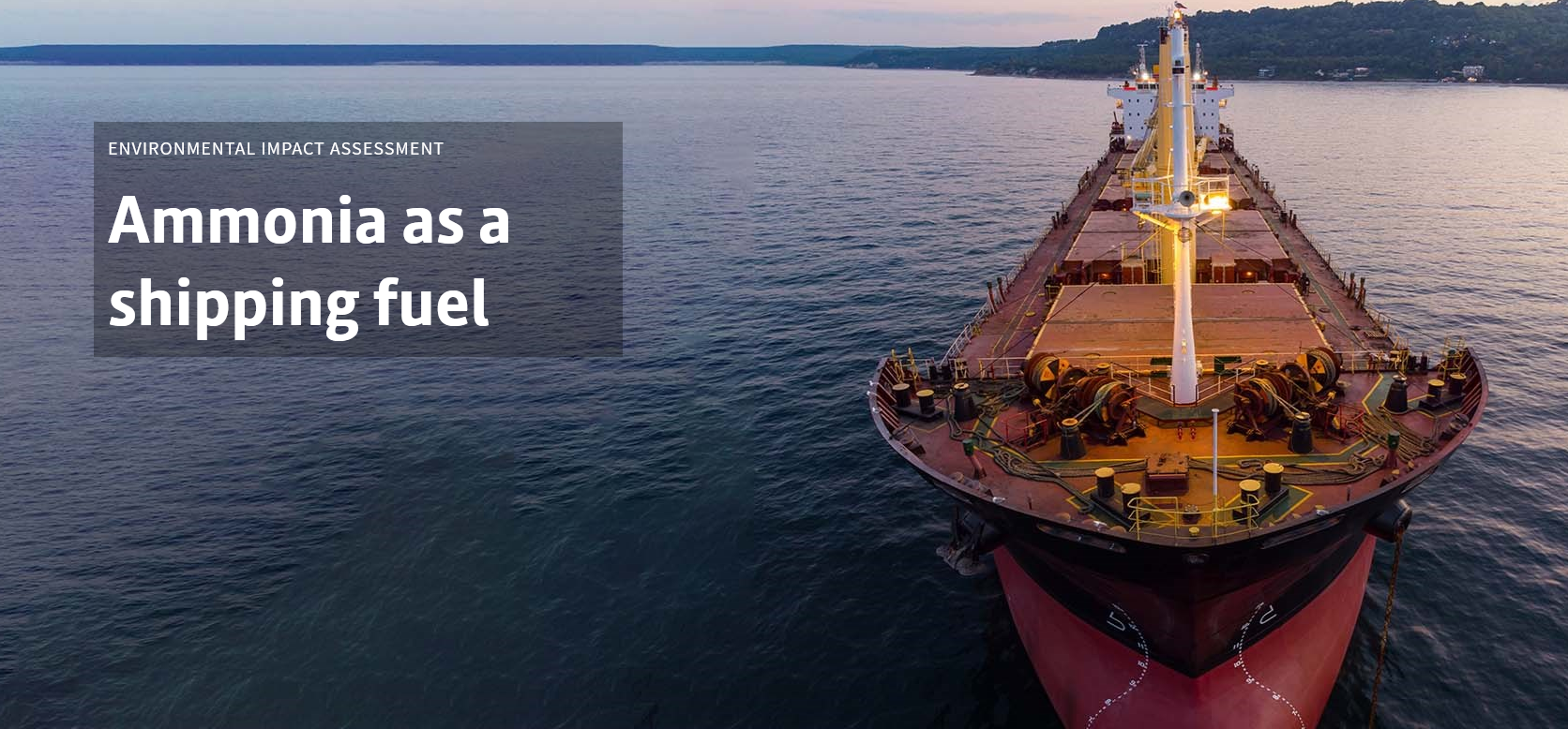 Quantifying the environmental impacts of ammonia at sea