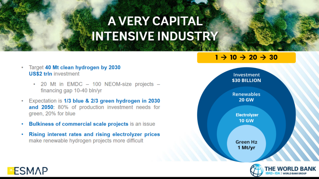 Capital requirements and targets for hydrogen production by 2030. From Dolf Gielen, Global Ammonia Certification As Enabler for Accelerated Investment and Financing (Nov 2023).