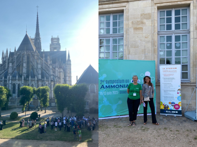 Attendees at the 2nd Symposium on Ammonia Energy in Orleans, France.